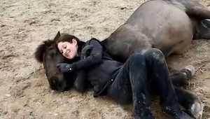 Kvinden lagde sig ned ved siden af hesten; det, som skete bagefter, er helt usæd