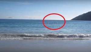 Mand tog filmoptagelse af havet, et øjeblik senere troede han ikke sine egne øjn