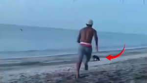 En ung mand besluttede sig for at sparke en hjemløs hund på stranden… Et øjeblik