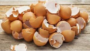 9 grunde til at gemme æggeskallerne. I stedet for at smide dem i skraldespanden,