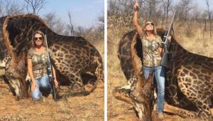 Den kvindelige amerikanske trofæjæger poserer stolt foran en sjælden sort girafs