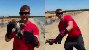 En ung mand filmer, hvordan nogen smider en kat i søen; kort efter ankommer poli